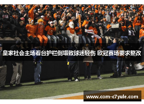 皇家社会主场看台护栏倒塌致球迷轻伤 欧冠赛场要求整改